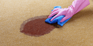 blood stain on carpet- sk carpet cleaning service