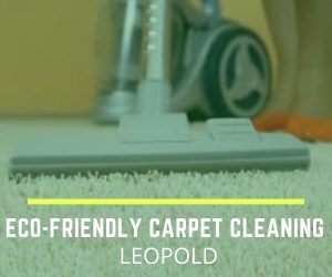 Eco-friendly carpet cleaning
