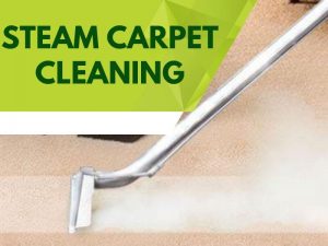 Steam carpet Cleaning