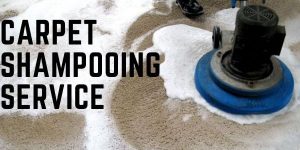 Carpet Shampooing Service