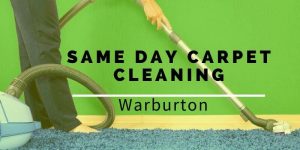 Same Day carpet Cleaning