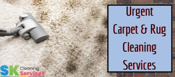 same day carpet cleaning Hamlyn Heights