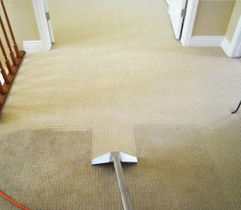 Hot Water Extraction Carpet Cleaning Richmond North