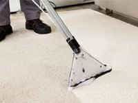 Affordable Carpet Cleaning Services Seymour South