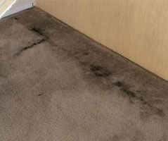 Carpet Fire and Smoke Restoration